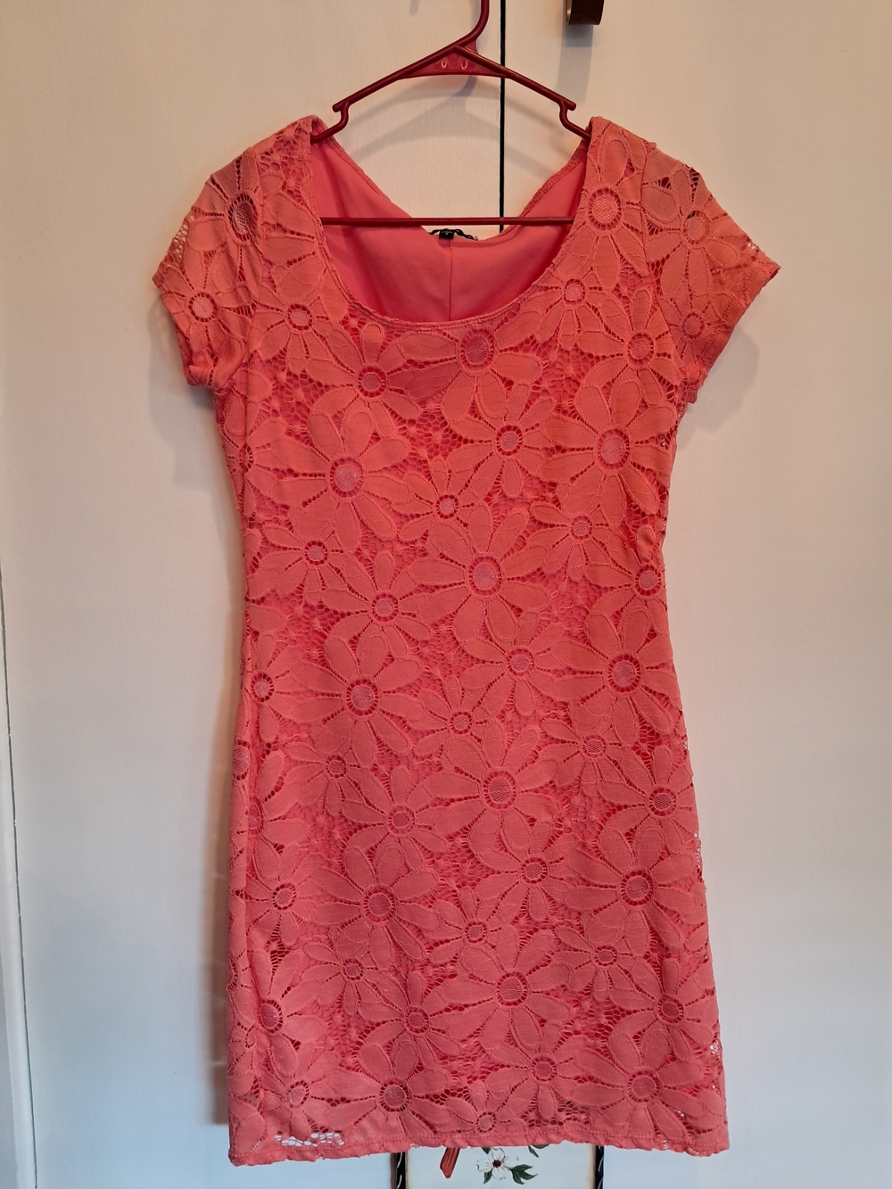Tiana B. Coral Lace Overlay Short Sleeve Dress